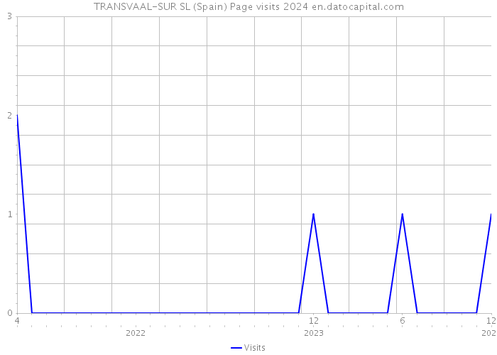 TRANSVAAL-SUR SL (Spain) Page visits 2024 