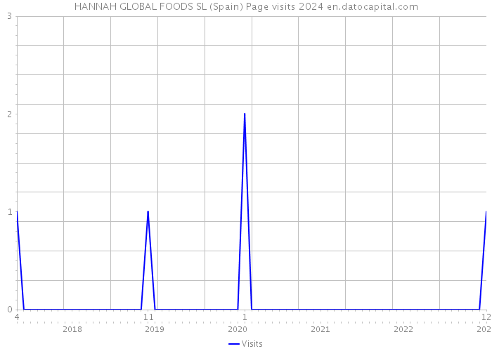 HANNAH GLOBAL FOODS SL (Spain) Page visits 2024 