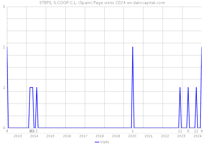 STEPS, S.COOP.C.L. (Spain) Page visits 2024 