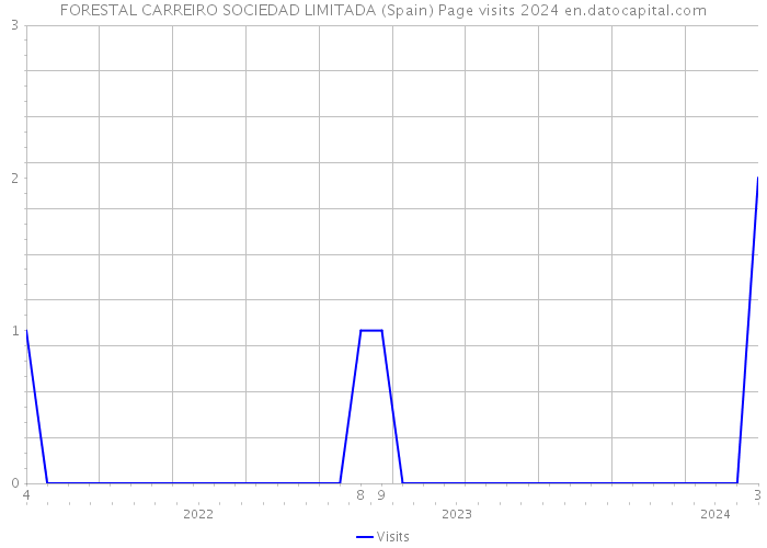 FORESTAL CARREIRO SOCIEDAD LIMITADA (Spain) Page visits 2024 