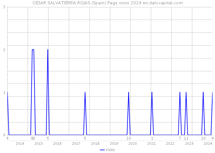 CESAR SALVATIERRA ROJAS (Spain) Page visits 2024 