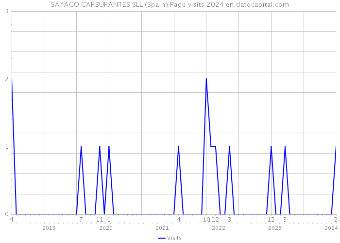 SAYAGO CARBURANTES SLL (Spain) Page visits 2024 