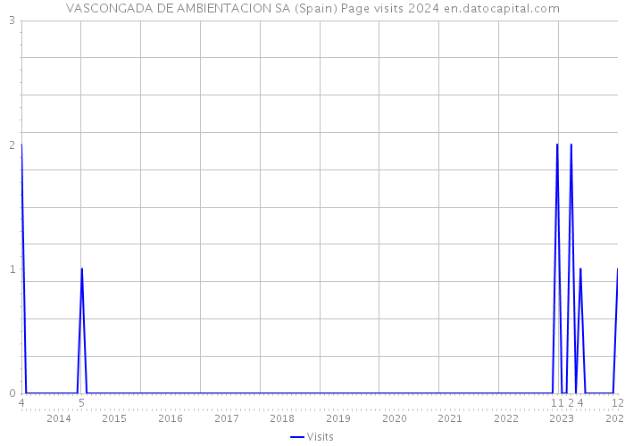 VASCONGADA DE AMBIENTACION SA (Spain) Page visits 2024 