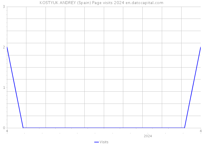 KOSTYUK ANDREY (Spain) Page visits 2024 