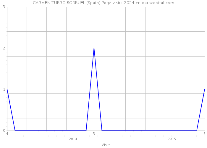 CARMEN TURRO BORRUEL (Spain) Page visits 2024 
