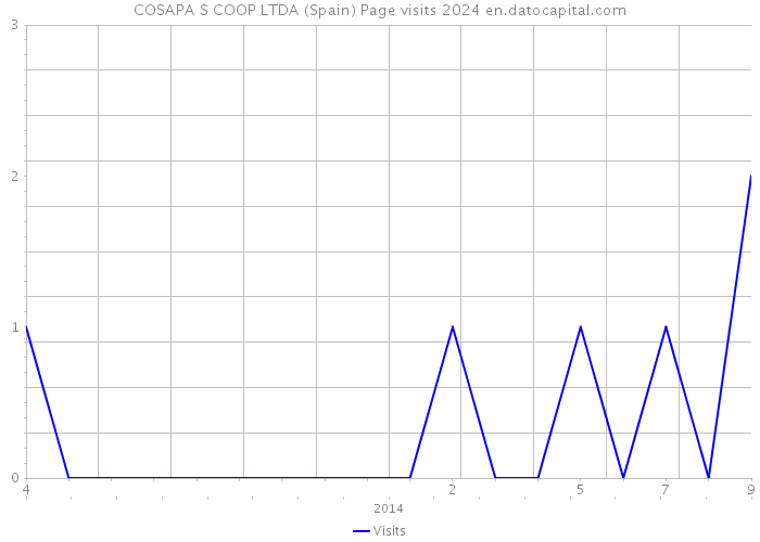COSAPA S COOP LTDA (Spain) Page visits 2024 