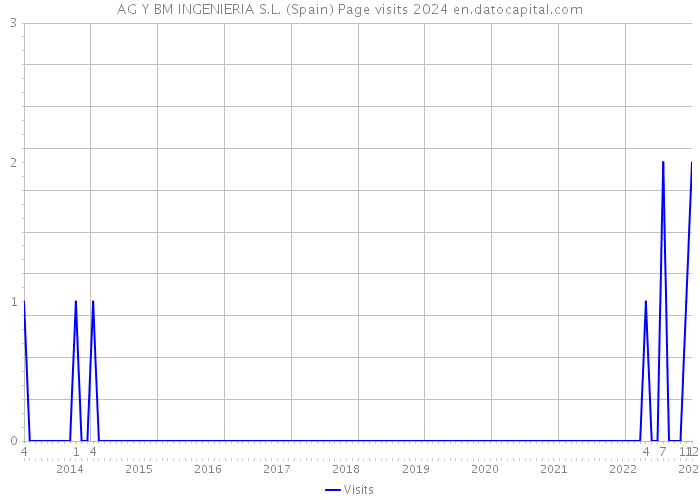 AG Y BM INGENIERIA S.L. (Spain) Page visits 2024 
