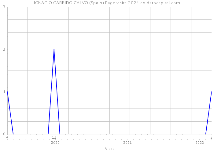 IGNACIO GARRIDO CALVO (Spain) Page visits 2024 
