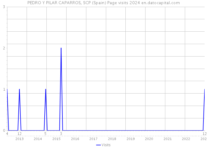 PEDRO Y PILAR CAPARROS, SCP (Spain) Page visits 2024 