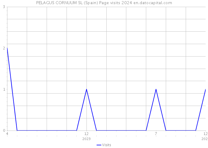 PELAGUS CORNUUM SL (Spain) Page visits 2024 