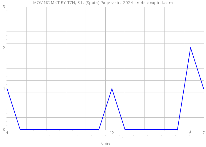 MOVING MKT BY TZN, S.L. (Spain) Page visits 2024 