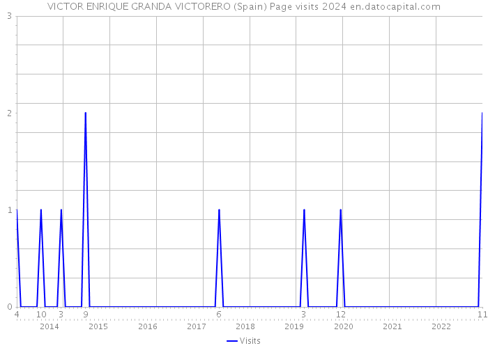 VICTOR ENRIQUE GRANDA VICTORERO (Spain) Page visits 2024 