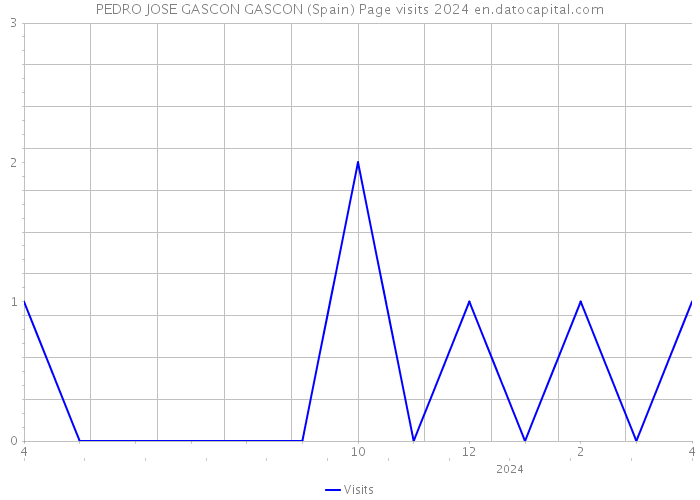 PEDRO JOSE GASCON GASCON (Spain) Page visits 2024 