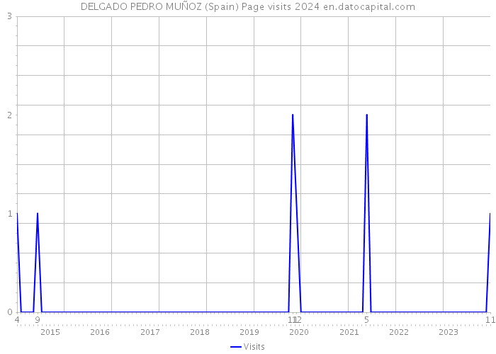 DELGADO PEDRO MUÑOZ (Spain) Page visits 2024 