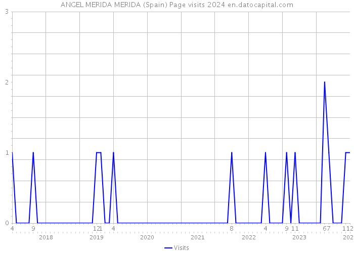 ANGEL MERIDA MERIDA (Spain) Page visits 2024 