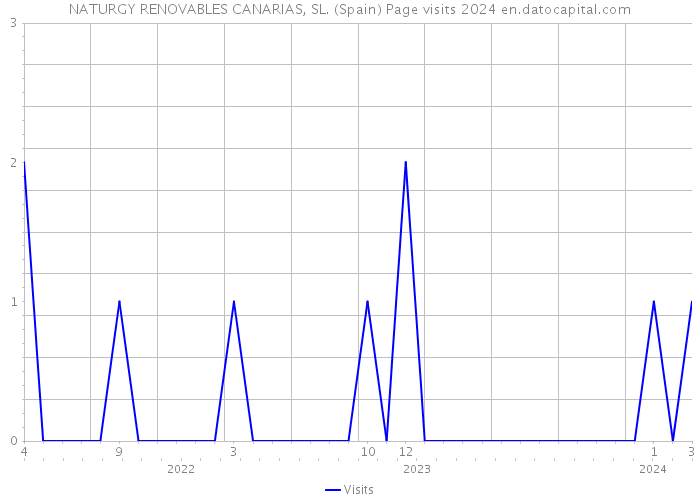 NATURGY RENOVABLES CANARIAS, SL. (Spain) Page visits 2024 
