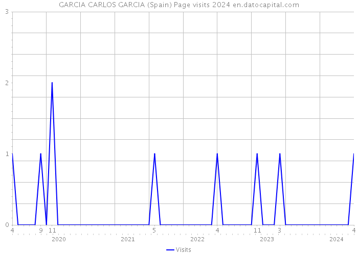 GARCIA CARLOS GARCIA (Spain) Page visits 2024 