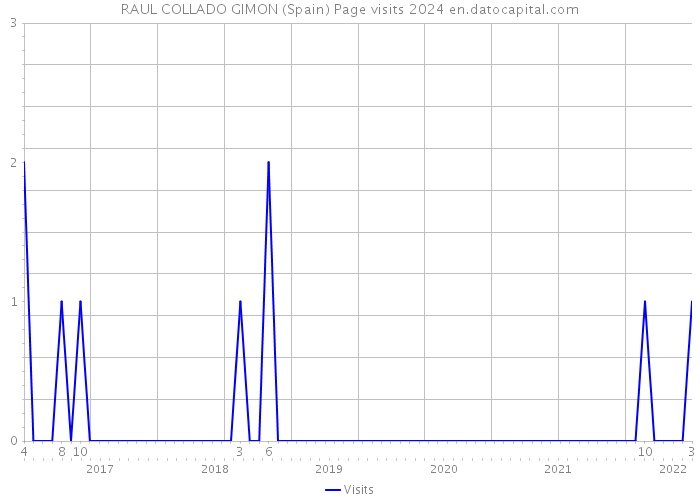RAUL COLLADO GIMON (Spain) Page visits 2024 