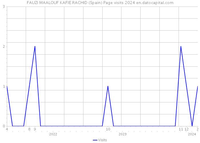 FAUZI MAALOUF KAFIE RACHID (Spain) Page visits 2024 
