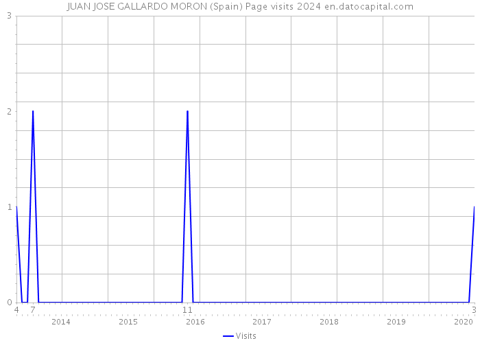JUAN JOSE GALLARDO MORON (Spain) Page visits 2024 