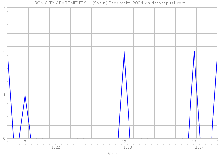 BCN CITY APARTMENT S.L. (Spain) Page visits 2024 