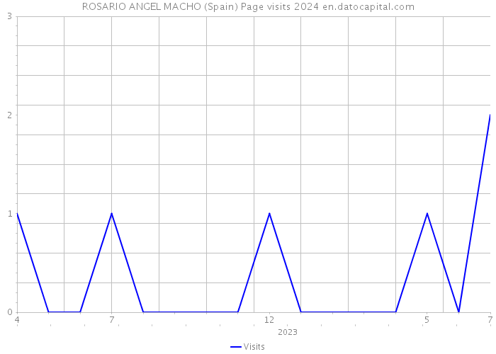 ROSARIO ANGEL MACHO (Spain) Page visits 2024 