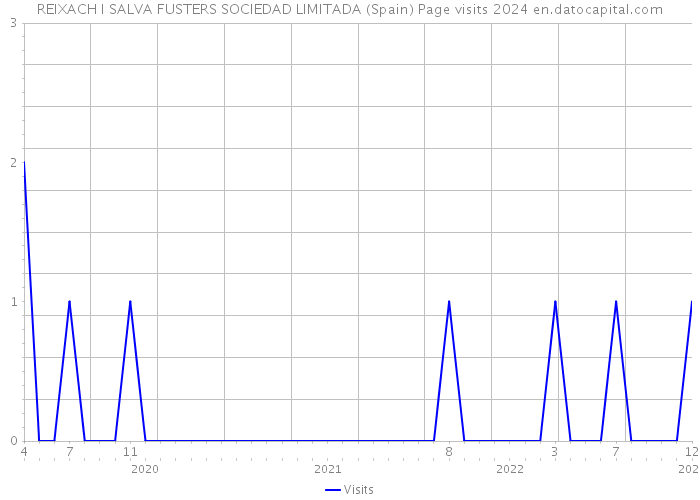 REIXACH I SALVA FUSTERS SOCIEDAD LIMITADA (Spain) Page visits 2024 