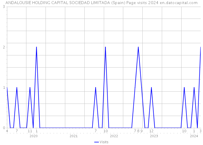 ANDALOUSIE HOLDING CAPITAL SOCIEDAD LIMITADA (Spain) Page visits 2024 