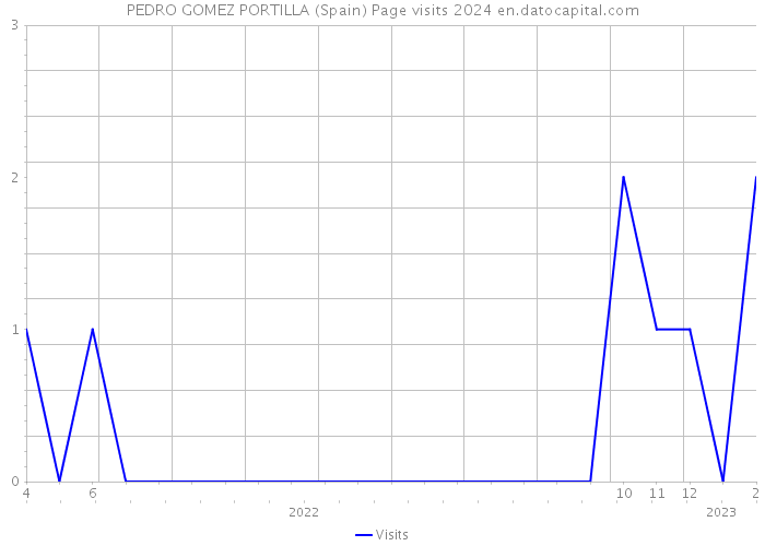 PEDRO GOMEZ PORTILLA (Spain) Page visits 2024 