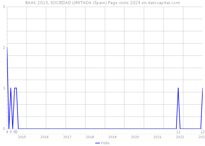 BAAK 2013, SOCIEDAD LIMITADA (Spain) Page visits 2024 
