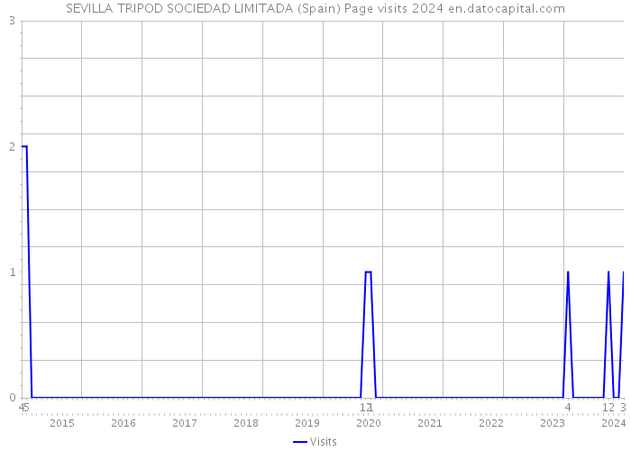 SEVILLA TRIPOD SOCIEDAD LIMITADA (Spain) Page visits 2024 