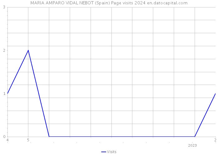 MARIA AMPARO VIDAL NEBOT (Spain) Page visits 2024 
