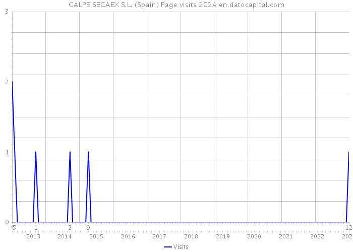 GALPE SECAEX S.L. (Spain) Page visits 2024 