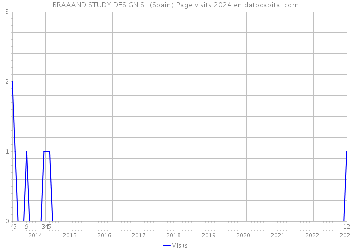 BRAAAND STUDY DESIGN SL (Spain) Page visits 2024 