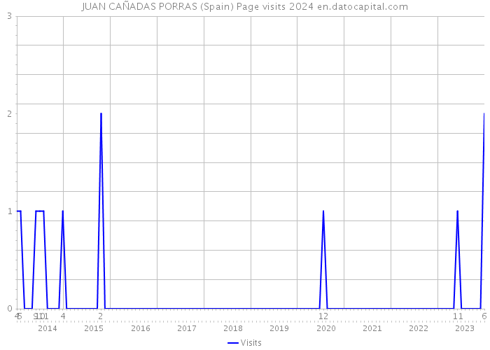 JUAN CAÑADAS PORRAS (Spain) Page visits 2024 