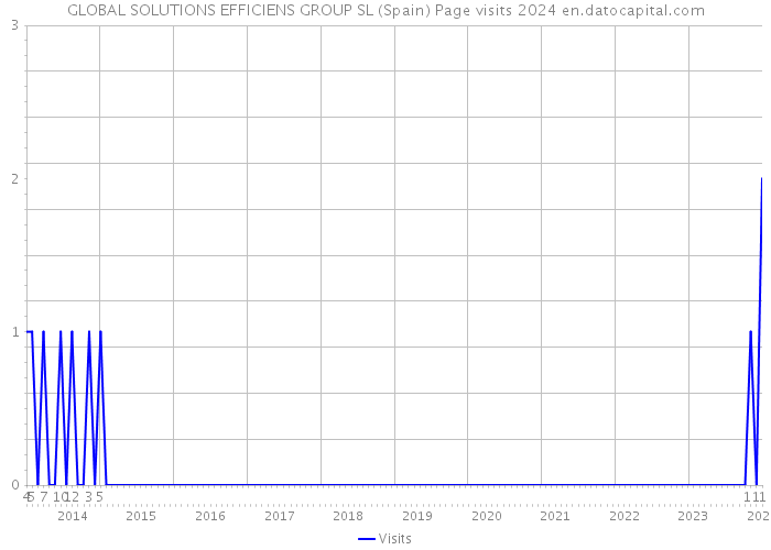 GLOBAL SOLUTIONS EFFICIENS GROUP SL (Spain) Page visits 2024 