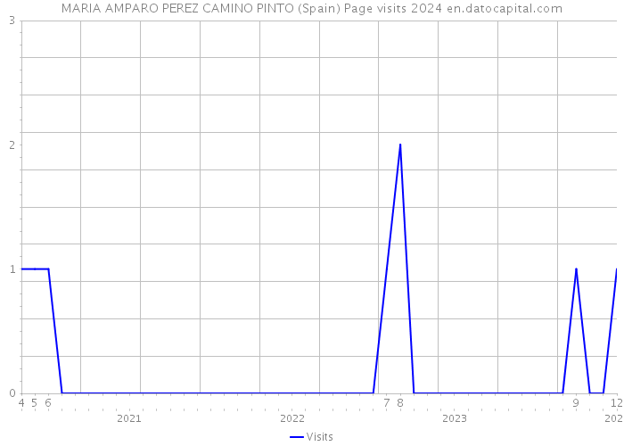 MARIA AMPARO PEREZ CAMINO PINTO (Spain) Page visits 2024 