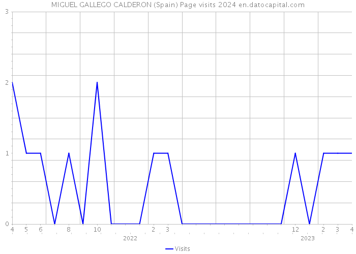 MIGUEL GALLEGO CALDERON (Spain) Page visits 2024 