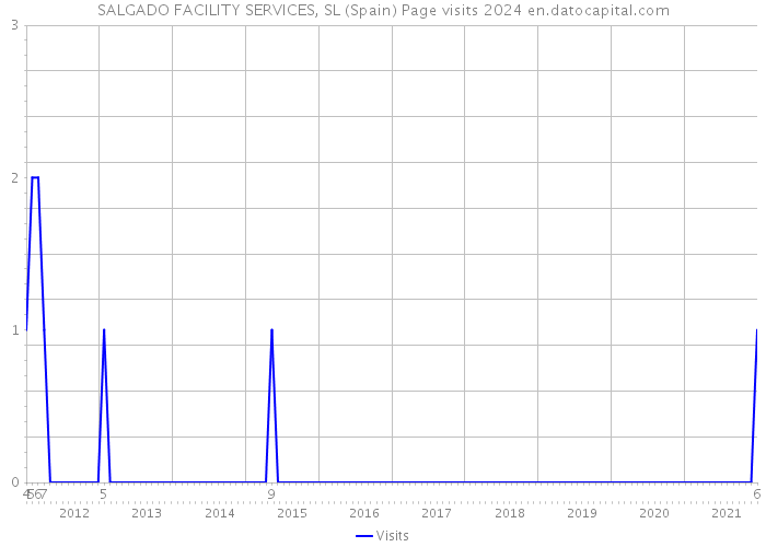 SALGADO FACILITY SERVICES, SL (Spain) Page visits 2024 