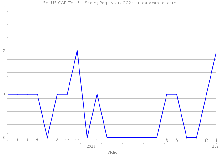 SALUS CAPITAL SL (Spain) Page visits 2024 