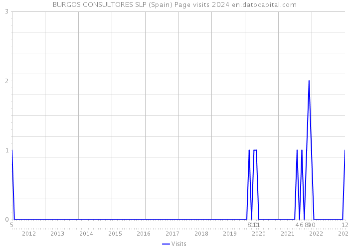 BURGOS CONSULTORES SLP (Spain) Page visits 2024 