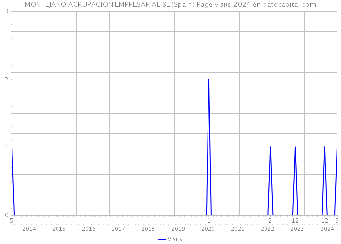 MONTEJANO AGRUPACION EMPRESARIAL SL (Spain) Page visits 2024 