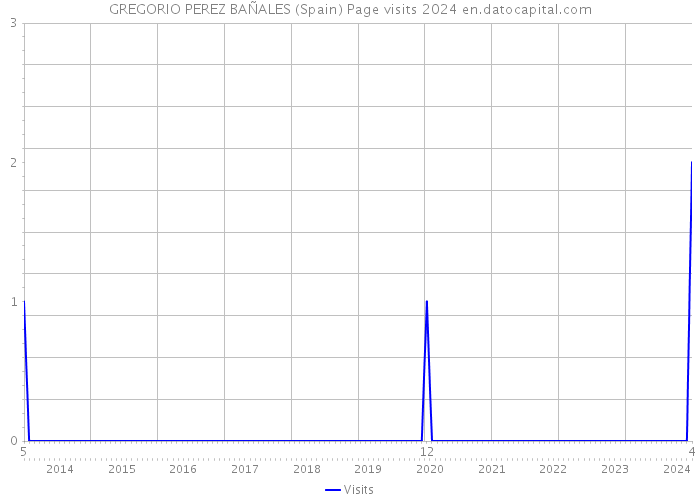 GREGORIO PEREZ BAÑALES (Spain) Page visits 2024 