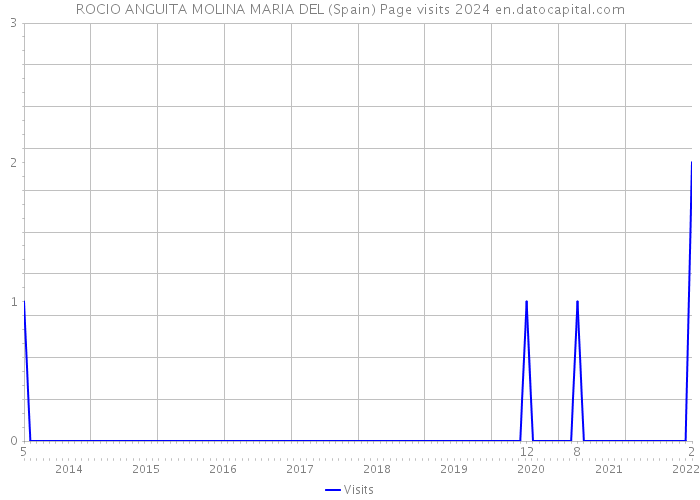 ROCIO ANGUITA MOLINA MARIA DEL (Spain) Page visits 2024 