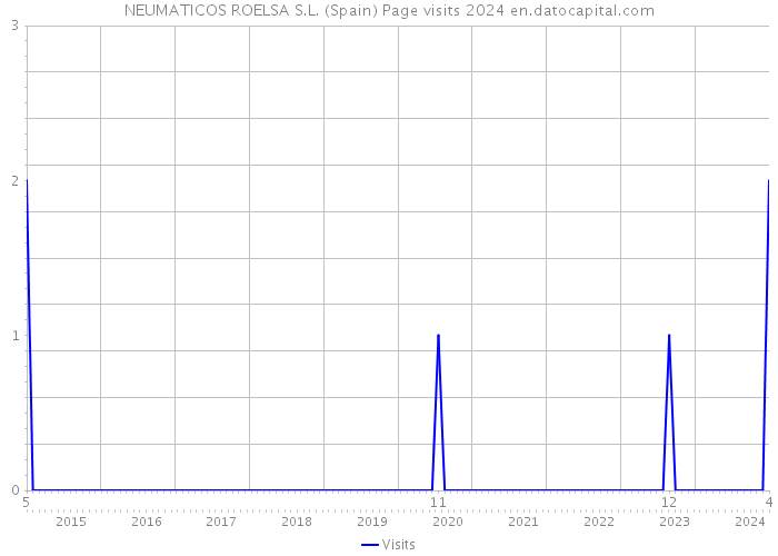 NEUMATICOS ROELSA S.L. (Spain) Page visits 2024 