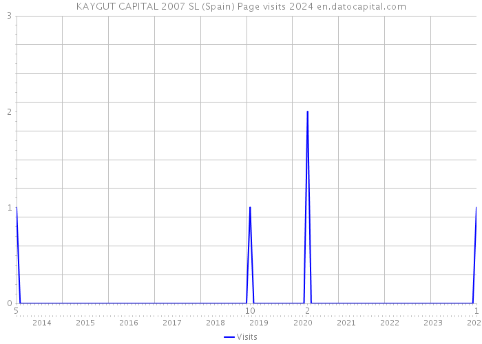 KAYGUT CAPITAL 2007 SL (Spain) Page visits 2024 