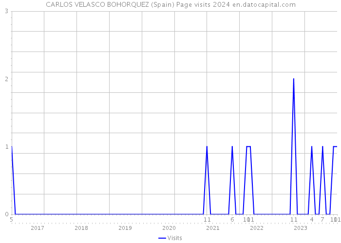CARLOS VELASCO BOHORQUEZ (Spain) Page visits 2024 