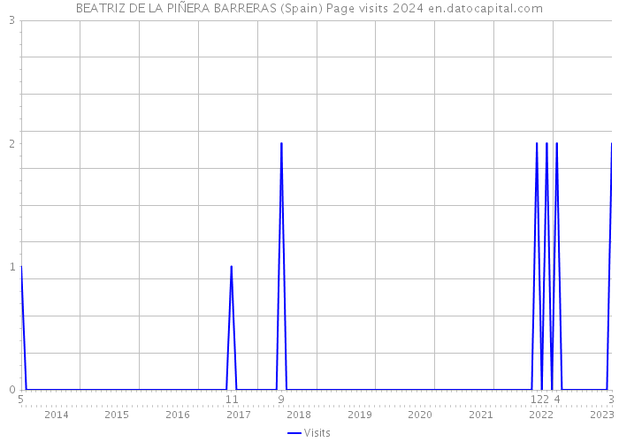 BEATRIZ DE LA PIÑERA BARRERAS (Spain) Page visits 2024 