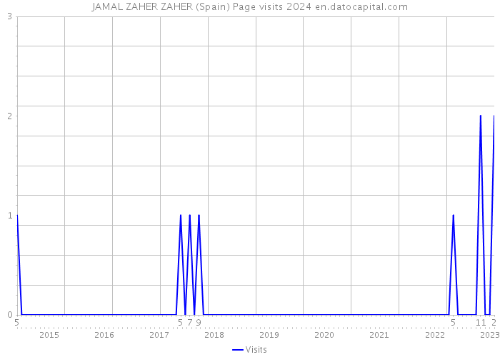 JAMAL ZAHER ZAHER (Spain) Page visits 2024 