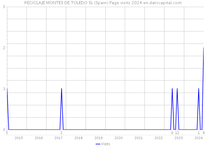 RECICLAJE MONTES DE TOLEDO SL (Spain) Page visits 2024 